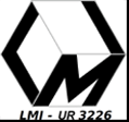 Logo du LMI